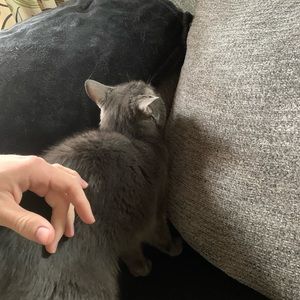 Meet your Posher, David